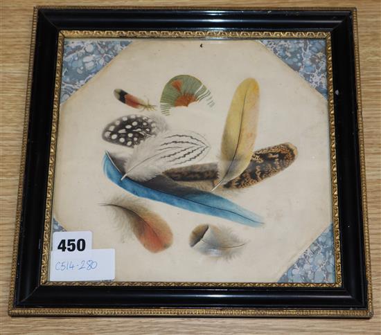 19th century English School, watercolour, Clin dOeuil - Study of feathers, 21 x 22.5cm